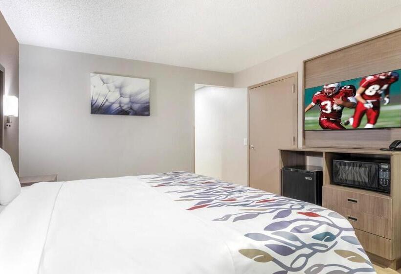 Номер Superior Кровать Кинг, Red Roof Inn & Suites Newport News