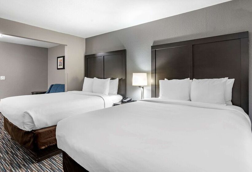 스탠다드 룸, Comfort Inn & Suites
