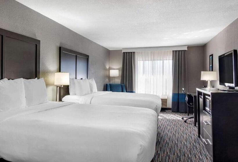 스탠다드 룸, Comfort Inn & Suites