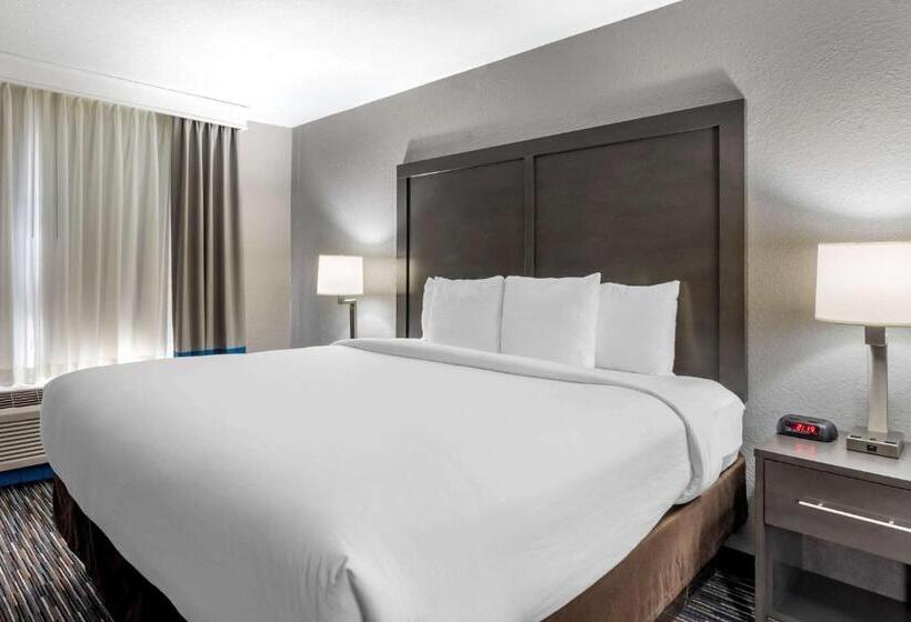 스탠다드 룸 킹사이즈 침대, Comfort Inn & Suites