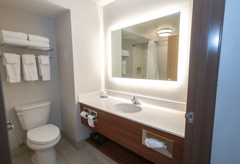 스위트, Holiday Inn Express & Suites Iron Mountain, An Ihg