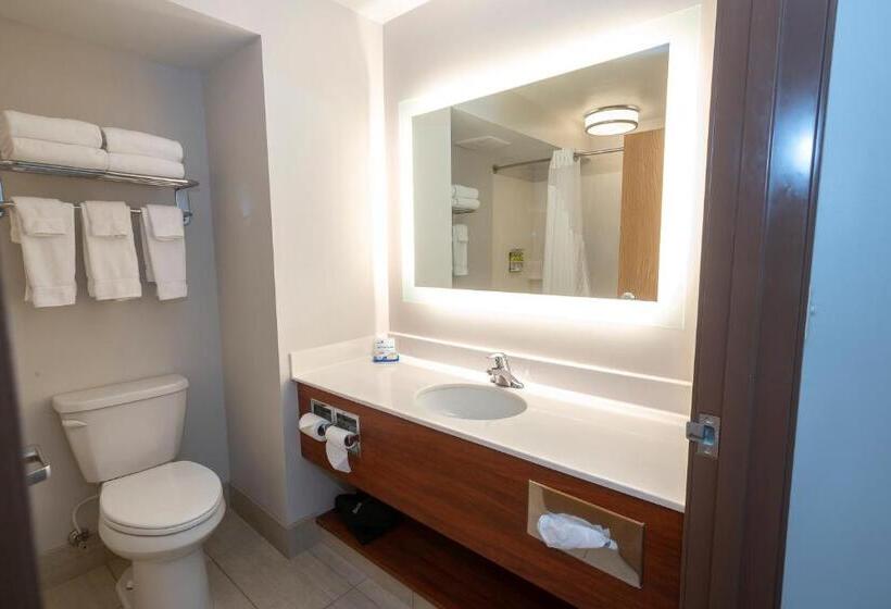 스탠다드 룸, Holiday Inn Express & Suites Iron Mountain, An Ihg