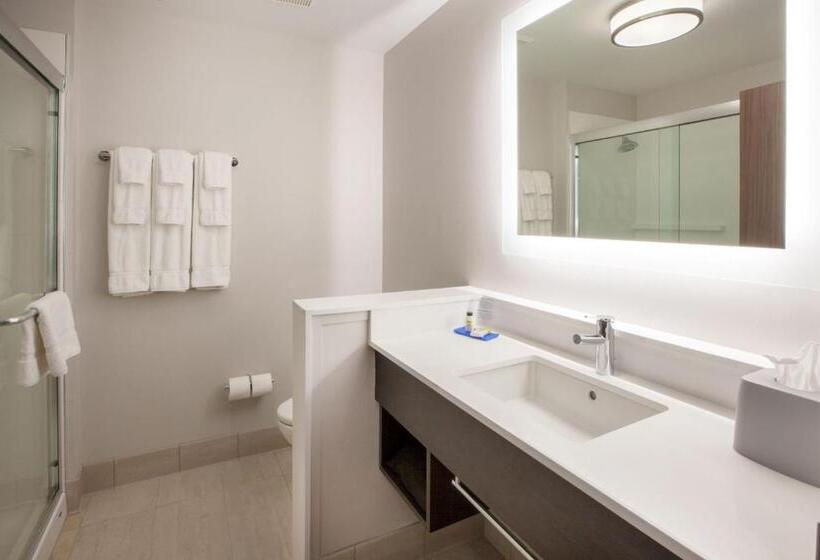 스탠다드 룸 킹사이즈 침대, Holiday Inn Express Hotel & Suites Maryville, An Ihg