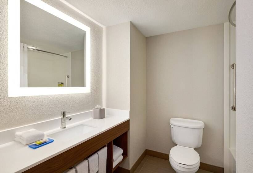 스위트, Holiday Inn Express & Suites Pembroke Pines Sheridan St, An Ihg