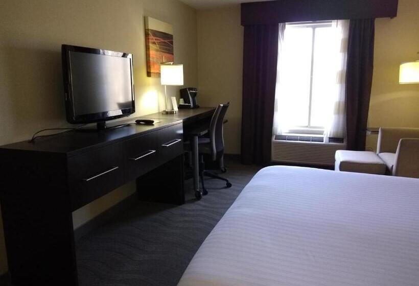 Стандартный Номер Кровать Кинг, Holiday Inn Express Hotel & Suites Waterford, An Ihg