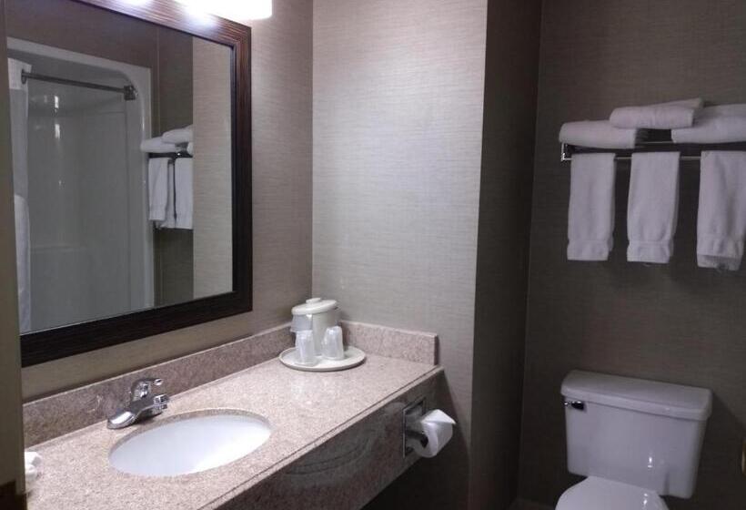 Люкс, Holiday Inn Express Hotel & Suites Waterford, An Ihg