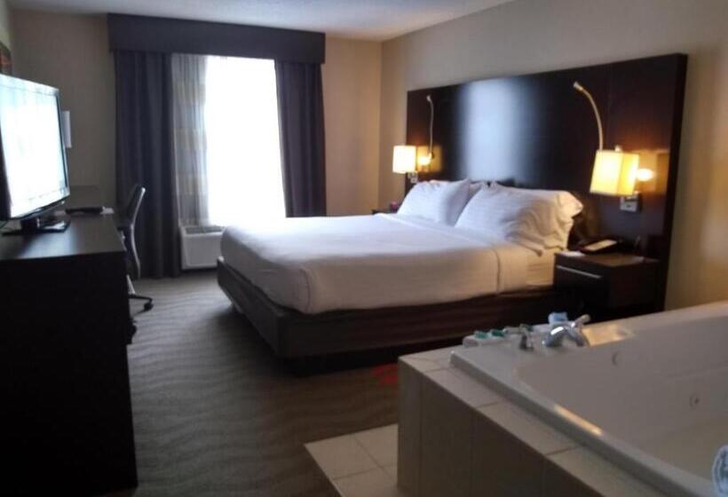 Стандартный Номер Кровать Кинг, Holiday Inn Express Hotel & Suites Waterford, An Ihg