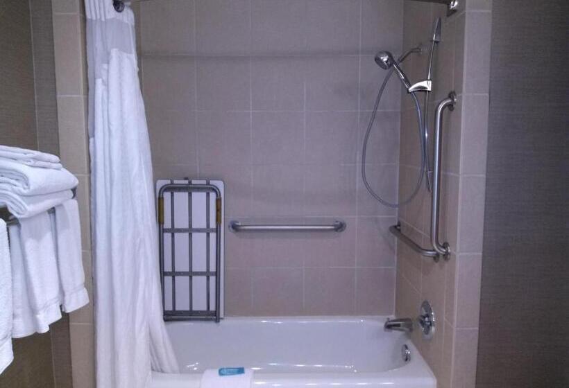 Номер Стандарт Кровать Кинг Адаптированный для Инвалидов, Holiday Inn Express Hotel & Suites Waterford, An Ihg