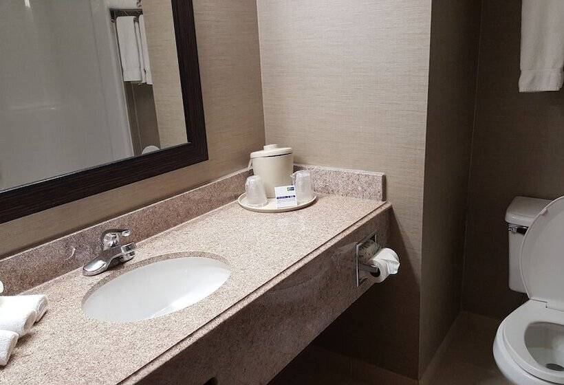 Номер Стандарт, Holiday Inn Express Hotel & Suites Waterford, An Ihg