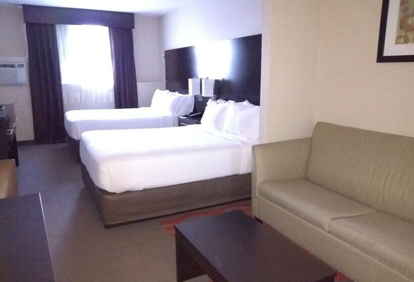 Люкс, Holiday Inn Express Hotel & Suites Waterford, An Ihg