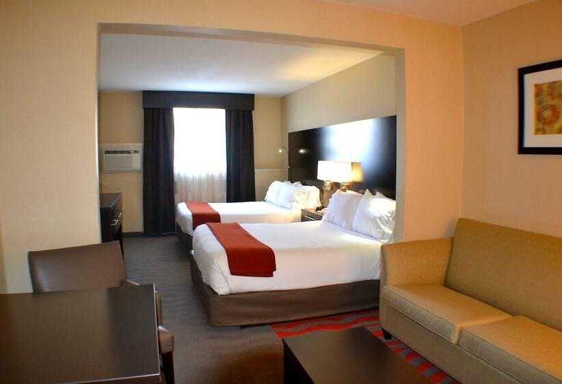 Люкс, Holiday Inn Express Hotel & Suites Waterford, An Ihg