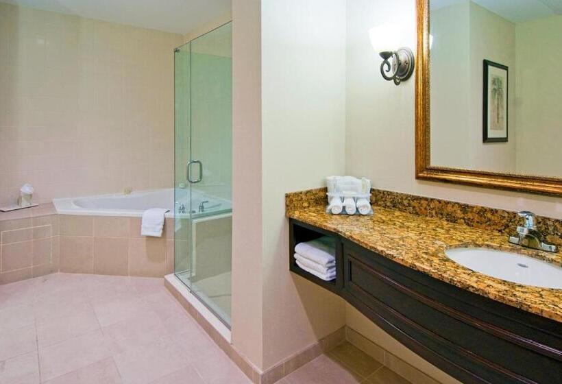 キングサイズベッドのスタンダードルーム, Holiday Inn Express & Suites Miami Kendall, An Ihg