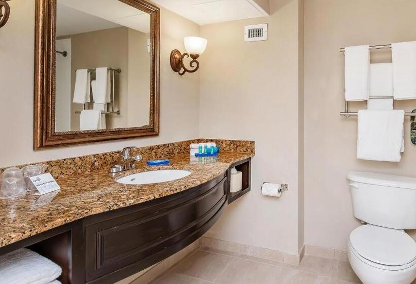 身障者適用スイートルーム, Holiday Inn Express & Suites Miami Kendall, An Ihg