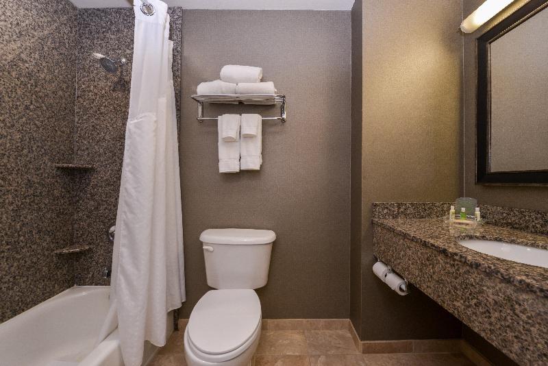 스탠다드 룸 킹사이즈 침대, Holiday Inn Ontario Airport   California, An Ihg