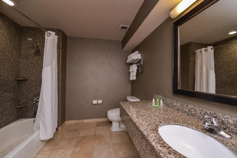 이그제큐티브 룸 킹사이즈 침대, Holiday Inn Ontario Airport   California, An Ihg