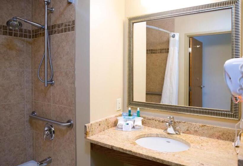 장애인을 위한 킹사이즈 침대 스탠다드 룸, Holiday Inn Express Devils Lake, An Ihg