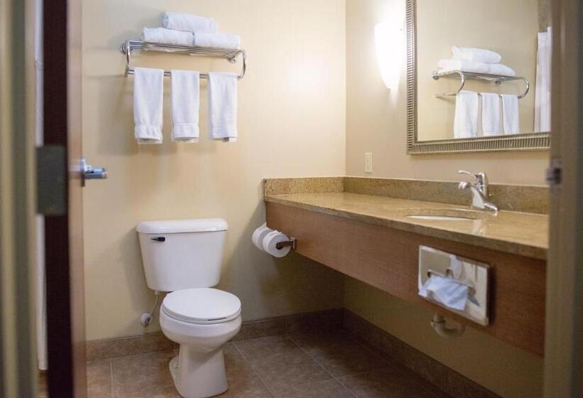 스탠다드 룸, Holiday Inn Express Devils Lake, An Ihg