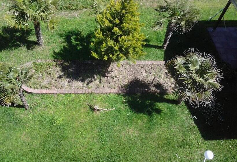 اتاق استاندارد چهار تخته, Lidra