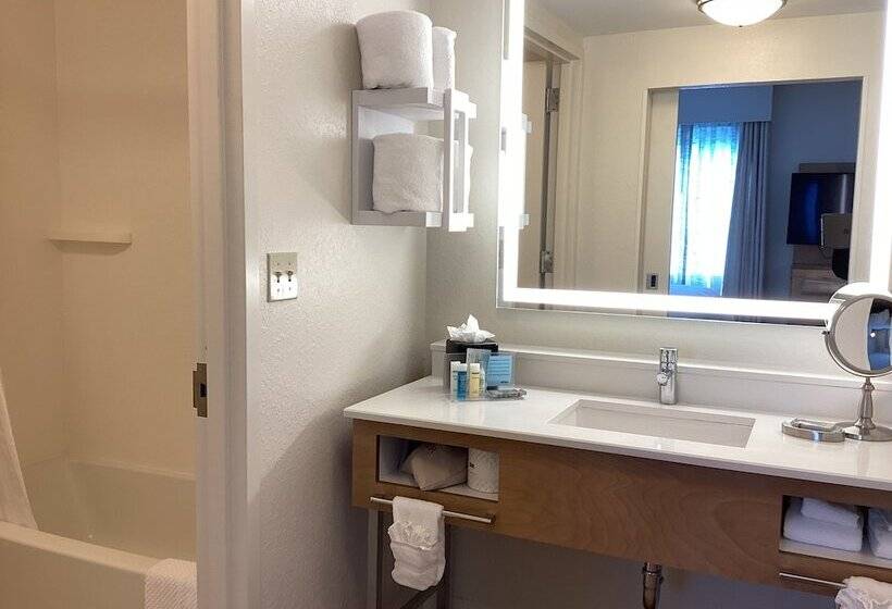 Студия Стандарт Двуспальная Кровать, Hampton Inn & Suites Miami/brickelldowntown