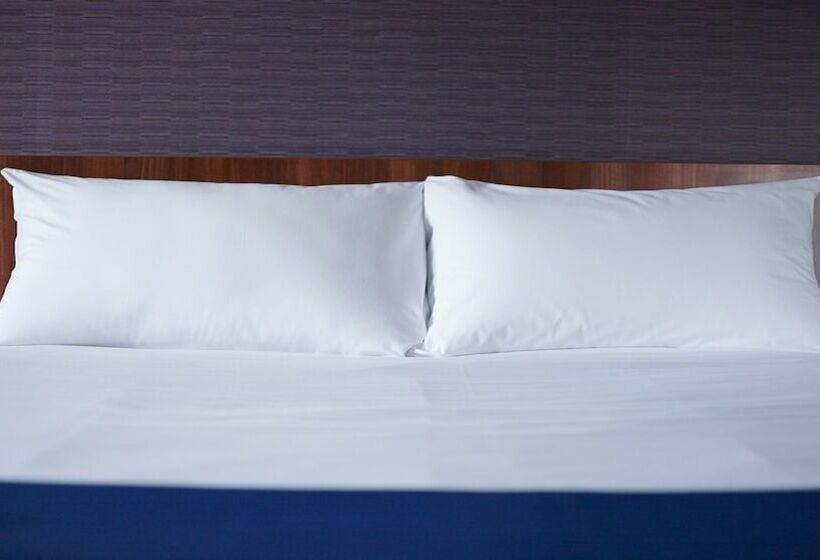 Номер Стандарт Адаптированный для Инвалидов, Holiday Inn Express Montpellier   Odysseum, An Ihg