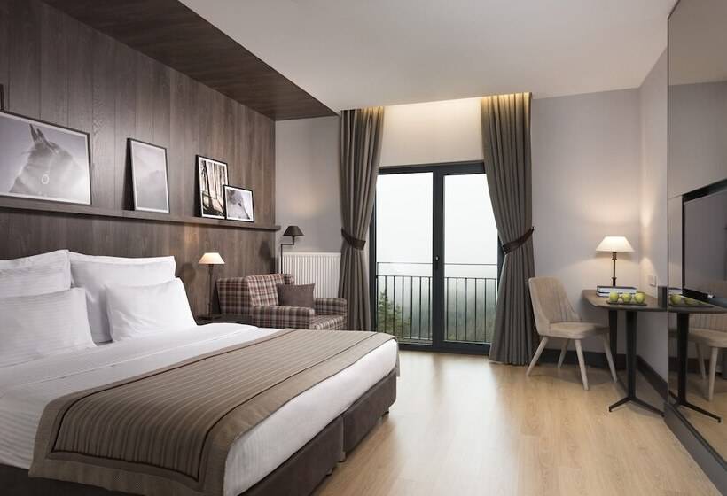 Economy Room, Jura Hotels Ilgaz Mountain Resort