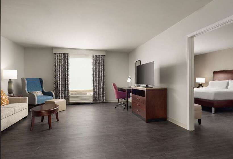 디럭스 룸 킹사이즈 침대, Hilton Richmond Hotel & Spa/short Pump