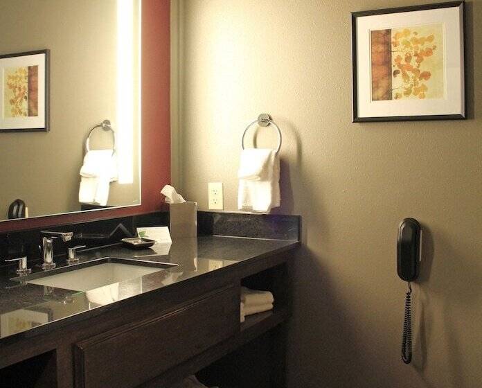 Люкс Адаптированный для Инвалидов, Best Western Premier Ivy Inn & Suites