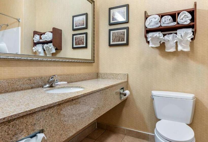 Standardzimmer Kingsize Bett, Comfort Suites South