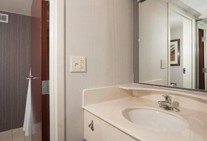 스탠다드 룸 킹사이즈 침대, Courtyard Greenville Spartanburg Airport