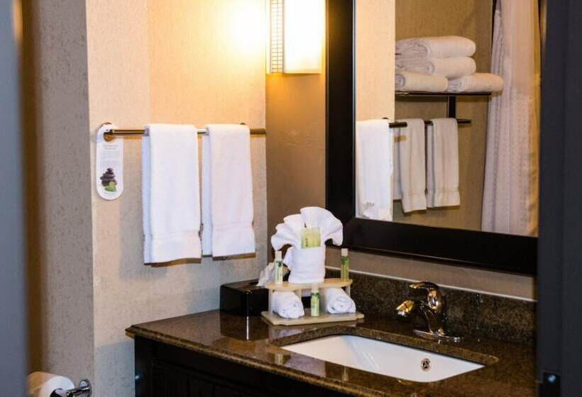 Номер Стандарт, Holiday Inn Express & Suites Houston Nw/beltway 8 West Road By Ihg