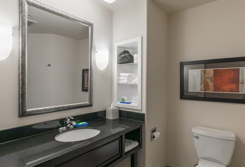 Номер Стандарт, Holiday Inn Express & Suites Oklahoma City Nw   Quail Springs, An Ihg