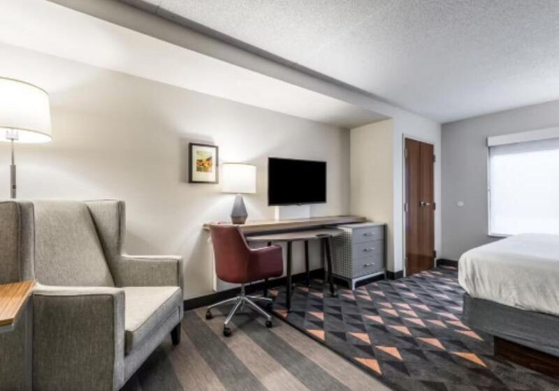 Standaardkamer met Kingsize Bed Aangepast voor Gehandicapten, Holiday Inn   Indianapolis Downtown, An Ihg