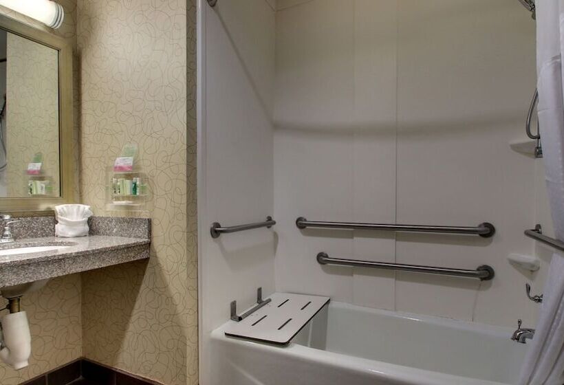 Номер Стандарт 2 Двуспальные Кровати, Holiday Inn Meridian East I 59 / I 20