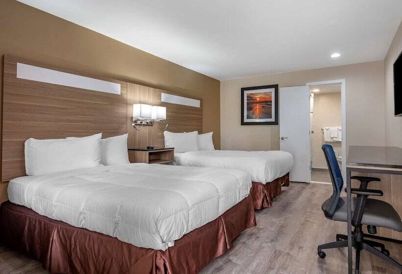 غرفه قياسيه سريرين مزدوجين, Rodeway Inn Oceanview