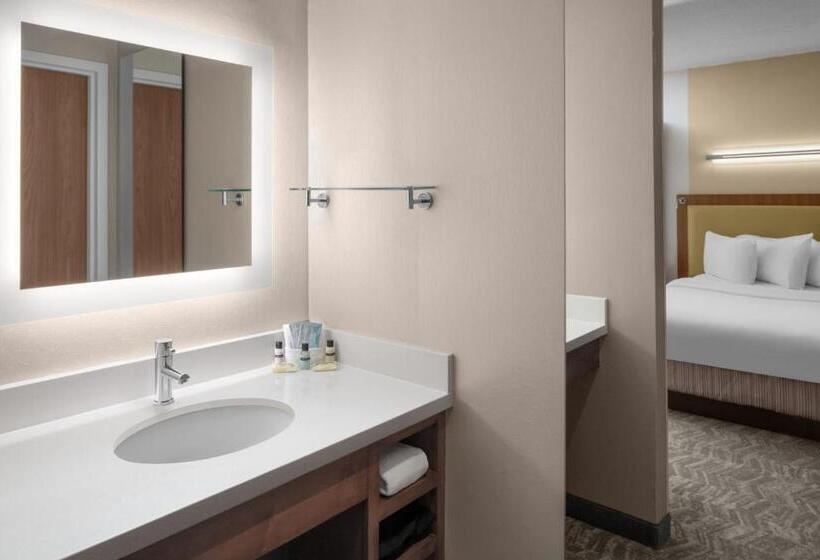 Студио Стандарт Кровать Кинг, Springhill Suites Pittsburgh Southside Works