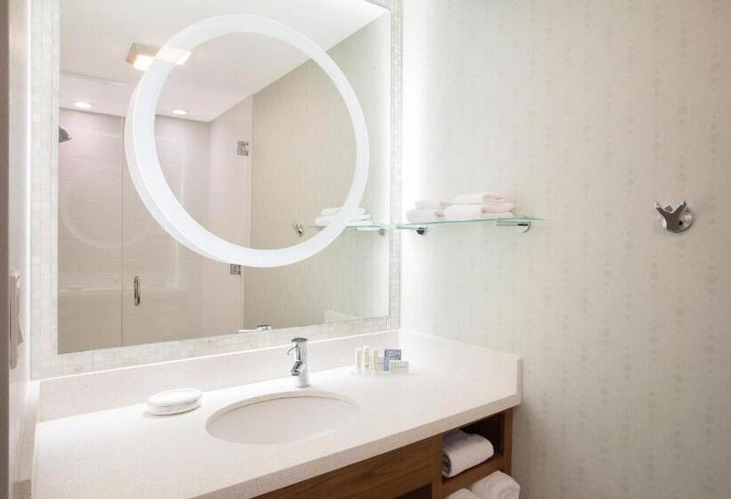 스탠다드 스튜디오 킹침대, Springhill Suites Ewing Township Princeton South