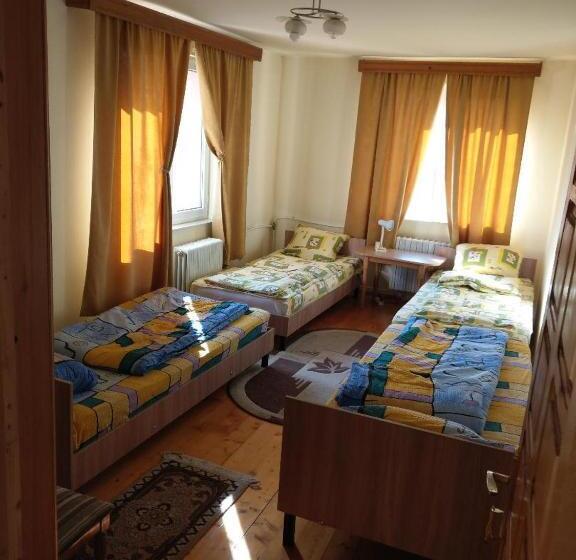 공동 객실, Lary Hostel