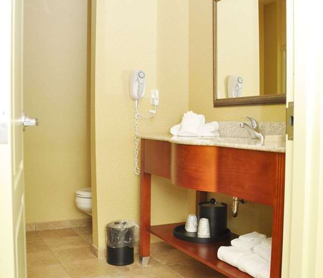 Standaardkamer met Kingsize Bed, Doubletree By Hilton Chicago Midway Airport