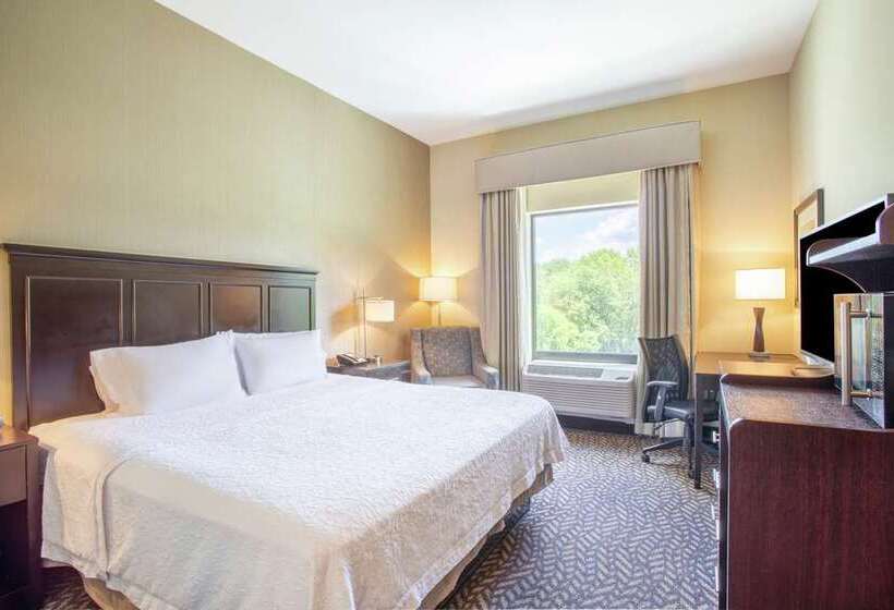 Standaardkamer met Kingsize Bed Aangepast voor Gehandicapten, Doubletree By Hilton Chicago Midway Airport