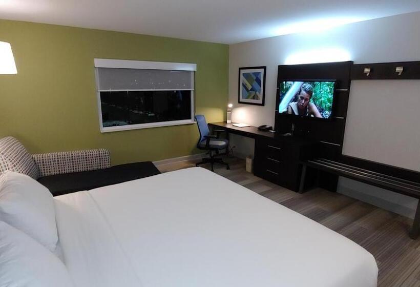 스탠다드 룸 킹사이즈 침대, Holiday Inn Express Schaumburg Rolling Meadows, An Ihg