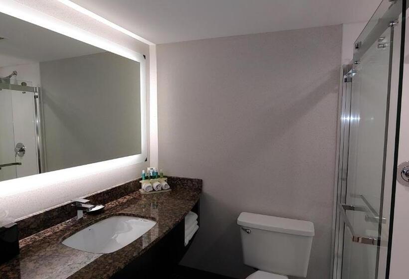 스탠다드 룸 더블 침대 2개, Holiday Inn Express Schaumburg Rolling Meadows, An Ihg