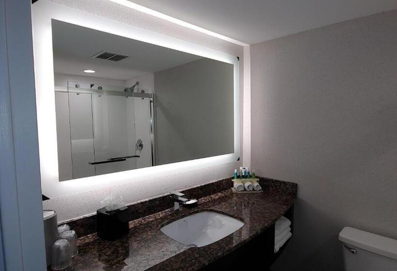 수피리어 룸, Holiday Inn Express Schaumburg Rolling Meadows, An Ihg