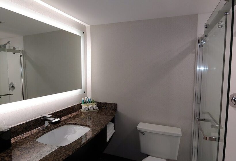 스탠다드 룸 더블 침대 2개, Holiday Inn Express Schaumburg Rolling Meadows, An Ihg