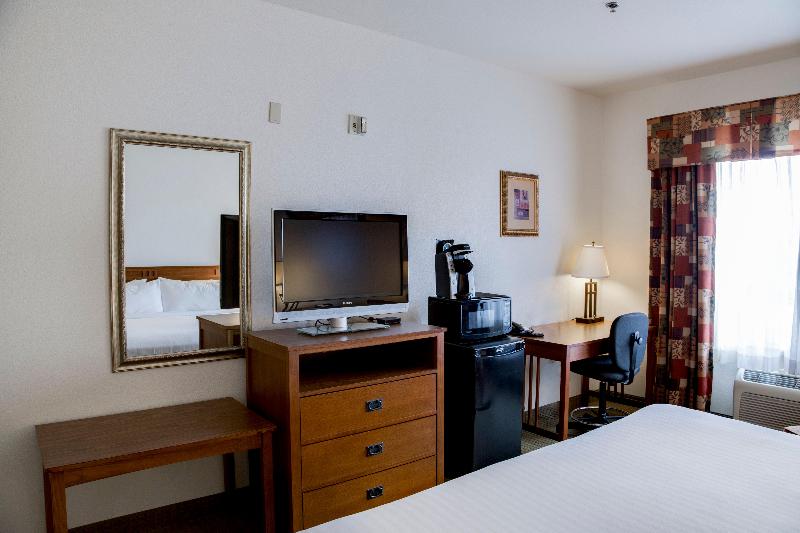 스탠다드 룸 킹사이즈 침대, Holiday Inn Express & Suites Jacksonville, An Ihg