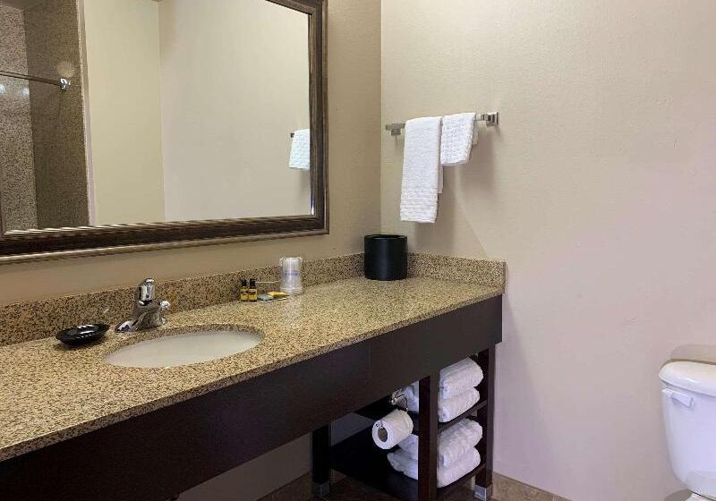חדר סטנדרט עם מיטת קינג, Holiday Inn Express Hotel & Suites   Sumter, An Ihg