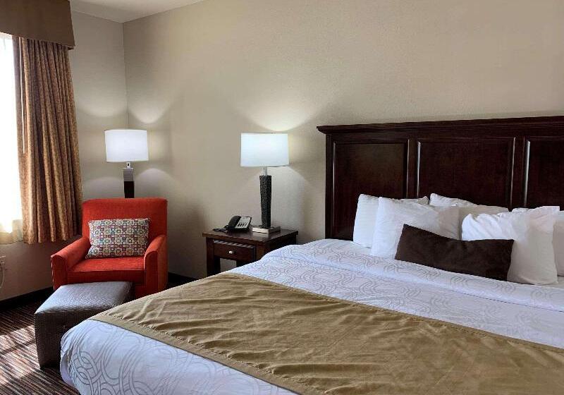 스탠다드 룸 킹사이즈 침대, Holiday Inn Express Hotel & Suites   Sumter, An Ihg