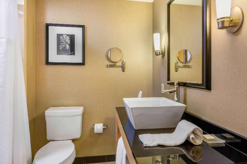 스탠다드 룸 킹사이즈 침대, Holiday Inn Express Hotel & Suites   Sumter, An Ihg