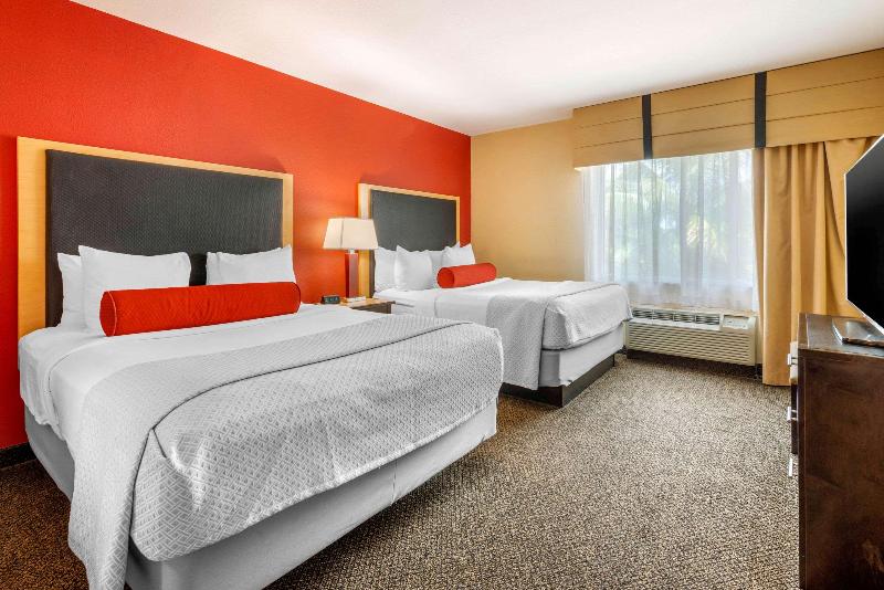 스탠다드 룸 킹사이즈 침대, Holiday Inn Express Hotel & Suites   Sumter, An Ihg