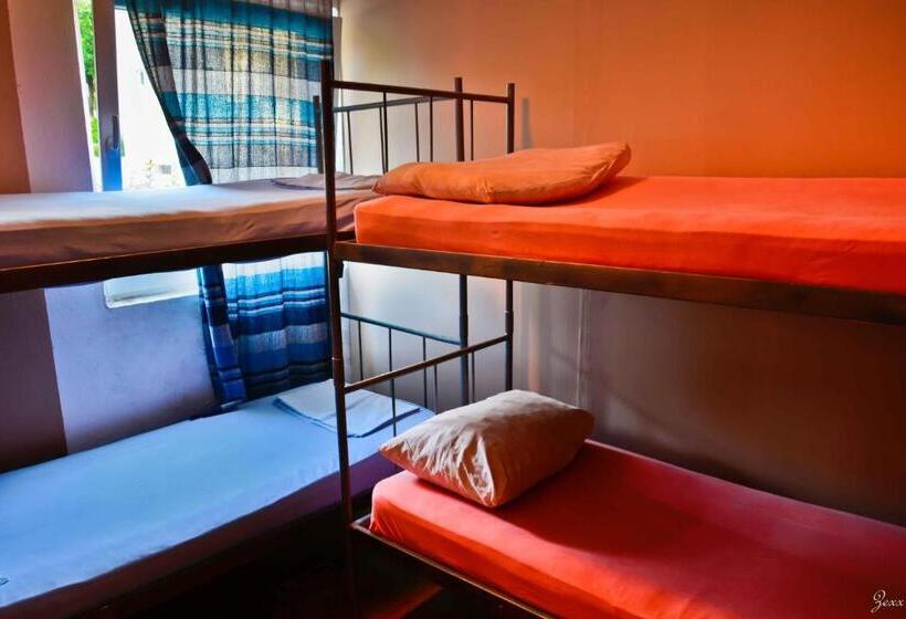 تختخواب در اتاق مشترک, Hostel Anton