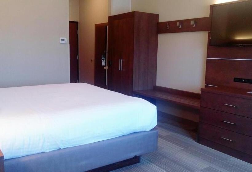 Номер Стандарт Кровать Кинг Адаптированный для Инвалидов, Holiday Inn Express & Suites   Miami, An Ihg